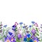 Watercolor seamless border, field wild flowers and herbs