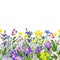Watercolor seamless border, field wild flowers and herbs, hand drawn watercolor flowers