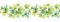 Watercolor seamless border with transparent leaves. English ivy plant. Horizontal line. Fresh grape foliage isolated on