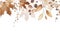 Watercolor seamless border on white background. Orange and yellow autumn wild flowers, branches, maple leaves and twigs