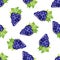 Watercolor seamless grape fruits pattern.