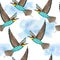 Watercolor seamless hand drawn pattern with wild kingfisher bee-eater birds in forest woodland. Wildlife natural vintage