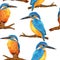 Watercolor seamless hand drawn pattern with wild kingfisher bee-eater birds in forest woodland. Wildlife natural vintage