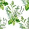 Watercolor seamless herbal pattern. Bunches of fresh culinary and medicinal herbs and branches. Basil, rosemary, thyme