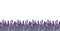 Watercolor seamless lavender border. Border of lavender