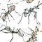 Watercolor seamless pattern of ants, sketch on white background. Elegant insect drawn by hand with ink border.