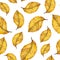 Watercolor seamless pattern autumn yellow leaves of elm
