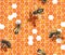 Watercolor seamless pattern of bees crawling on honeycomb