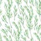 Watercolor seamless pattern botanical branches