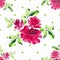 Watercolor seamless pattern with bouquets of pink roses and green polka on white background.