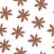 Watercolor seamless pattern brown star anise on white background