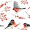 Watercolor seamless pattern with bullfinch and red berries. Hand painted ornament with birds and winter berries on white backgroun