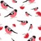 Watercolor seamless pattern with bullfinches and rowanberry