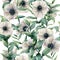 Watercolor seamless pattern with classic anemone. Hand painted white flower abd eucalyptus leaves isolated on white