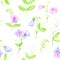 watercolor seamless pattern with drawing flowers of sweet peas