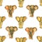 Watercolor seamless pattern from Elephants