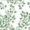 Watercolor seamless pattern with eucalyptus branch. Greenery plant. Floral illustration for kids, baby textile fabric, scrapbook