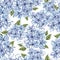 Watercolor seamless pattern with flowers of plumbago.