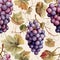 watercolor seamless pattern with grapes on the vine on white background