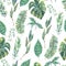 Watercolor seamless pattern of green exotic leaves
