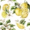 Watercolor seamless pattern of green leaves, blooming flowers and ripe lemons. Hand painted fresh fruits isolated on
