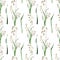 Watercolor seamless pattern with the image of the bluegrass meadow plant