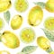 Watercolor seamless pattern of lemon fruit.