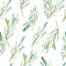 Watercolor seamless pattern olives branches texture background