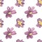 Watercolor seamless pattern with pink and purple primrose.Festive,Botanical,Floral hand painted print