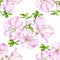 Watercolor seamless pattern with pink Rhododendron flower and leaves. Hand drawn botanical illustration of azalea isolated on