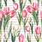 Watercolor seamless pattern with pink and white tulip flowers