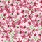 Watercolor seamless pattern with pink wildflowers.Watercolor meadow geranium.