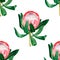 Watercolor seamless pattern with protea. Botanical flower background, floral pattern for textile decor and design, botanical color