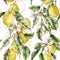 Watercolor seamless pattern of ripe lemons, gold leaves and linear flowers. Hand painted fresh fruits isolated on white