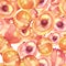 Watercolor seamless pattern from a set of fruit - peach, apricot, yellow plum, cherry plum. Peach with a bone, slices. Use for dec