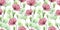 Watercolor seamless pattern with transparent flowers. pink poppy flowers, green eucalyptus leaves and phlox flowers isolated on wh