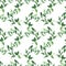 Watercolor seamless pattern with various aromatic plants
