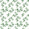 Watercolor seamless pattern with various aromatic plants