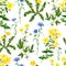 Watercolor seamless pattern, yellow wild field flowers