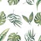 Watercolor seamless tropical leaves pattern. Foliage digital paper. Exotic floral wrapping paper.Monstera leaf, banana leaves