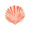 Watercolor Seashell