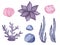 Watercolor seaweeds, corals, stones, seashells on white background