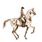 Watercolor sepia rider and horse on white. Horseman in jacket on stallion.