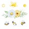 Watercolor set, bees, honeycombs and bouquets of chamomile