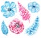 Watercolor set of blue and pink flowers