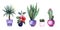 Watercolor set of botanical decorative elements. Hand drawn houseplants in bright pots. Cute palm, blooming hibiscus, bushy