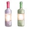 Watercolor set of  bottles of different shapes with white and red grape wine.