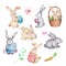 Watercolor set brown and gray Easter bunnies with Easter eggs