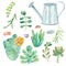 Watercolor set of cacti, succulents, pebbles, flower pots.