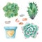 Watercolor set of cacti, succulents, pebbles, flower pots.